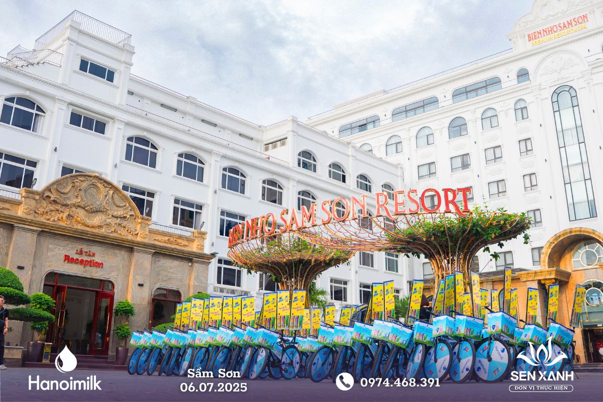 Xe tập trung trước cửa kh&aacute;ch sạn